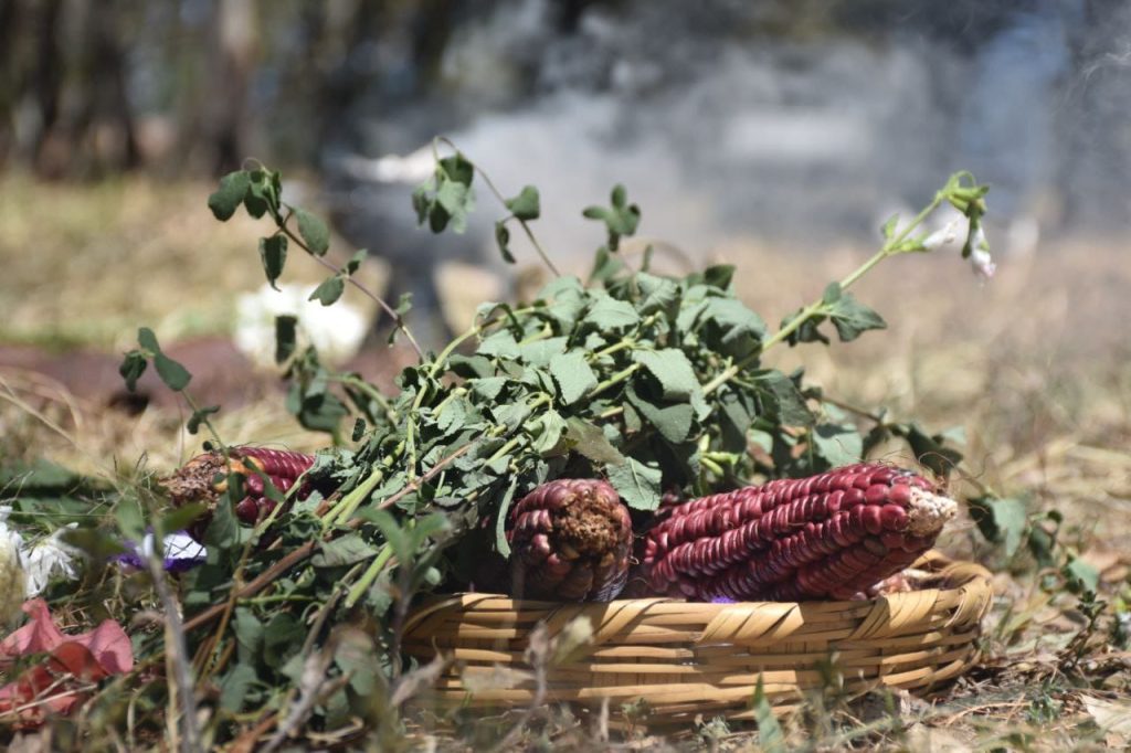 Contenedor de Arte | Hoy inicia la magia de la K’uínchekua desde las Yácatas de Tzintzuntzan