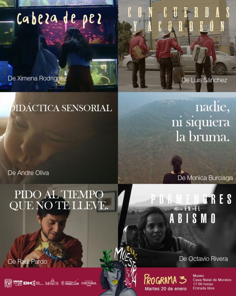 Contenedor de Arte | ¡ Llega a Michoacán muestra de cine con lo mejor del talento emergente de la UNAM !