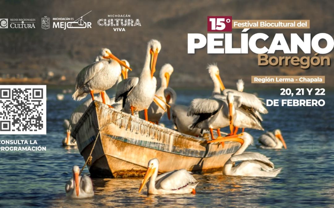 Contenedor de Arte | Murales, talleres y tradición: Vive el Festival del Pelícano Borregón del 20 al 22 de febrero