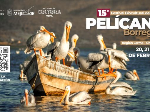 Murales, talleres y tradición: Vive el Festival del Pelícano Borregón del 20 al 22 de febrero Murales, talleres y tradición: Vive el Festival del Pelícano Borregón del 20 al 22 de febrero