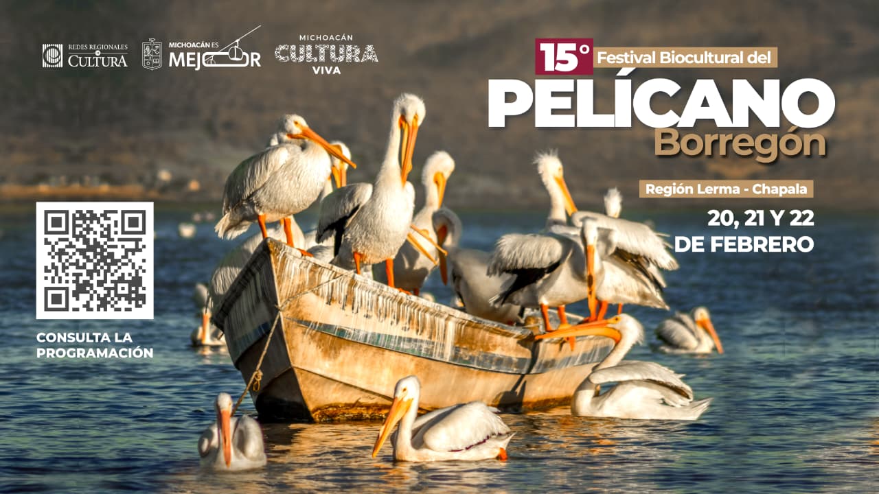 Murales, talleres y tradición: Vive el Festival del Pelícano Borregón del 20 al 22 de febrero