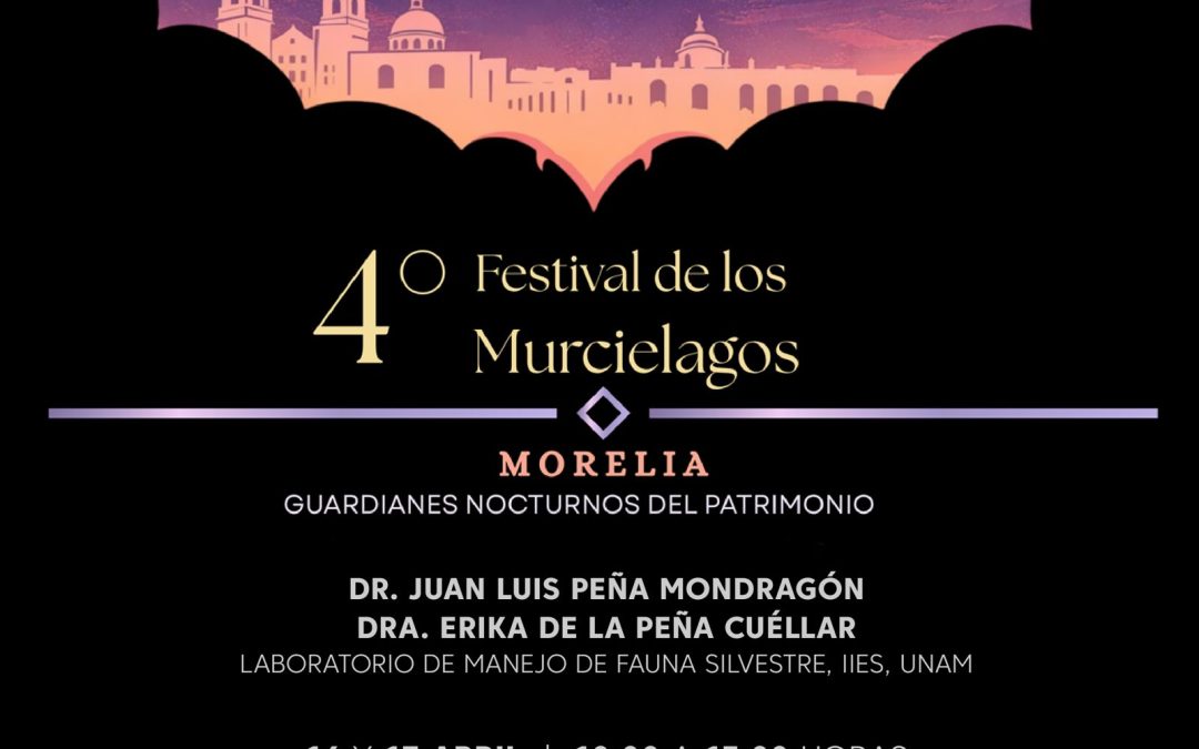 Contenedor de Arte | Llega el segundo Festival de los Murciélagos al Museo del Estado