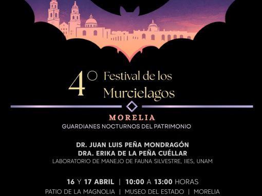 Llega el segundo Festival de los Murciélagos al Museo del Estado Llega el segundo Festival de los Murciélagos al Museo del Estado