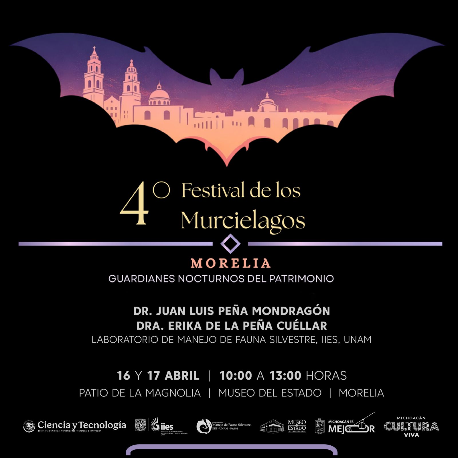 Llega el segundo Festival de los Murciélagos al Museo del Estado