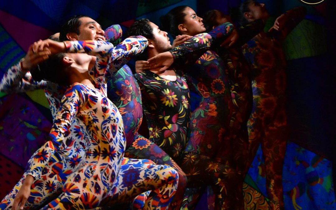 Contenedor de Arte | Somos Raíz, Somos Danza
