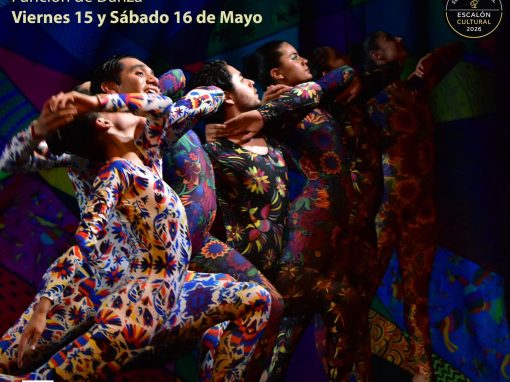 Somos Raíz, Somos Danza Somos Raíz, Somos Danza