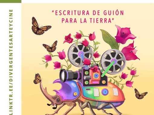 Muestra Divergentes 2026 invita a participar en sus convocatorias y talleres